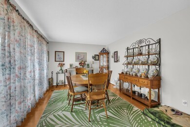 8-web-or-mls-7931-selcer-rd