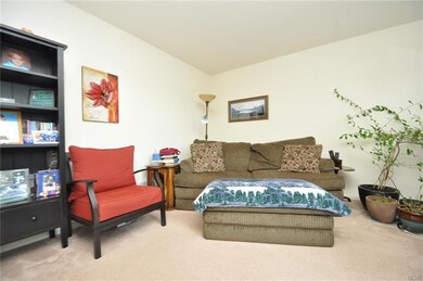 5806 Shady Ln, Nazareth, PA 18064 - photo 4