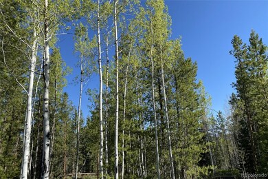 33255 Filly Trail, Oak Creek, CO 80467 - photo 6