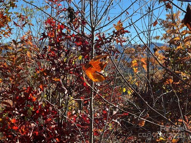 Lot 66 Musket Dr, Almond, NC 28713 - photo 7