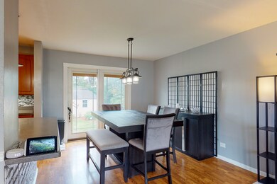 1035 E Forest Ave, Des Plaines, IL 60018 - photo 5