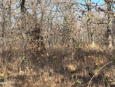 9479 S 670 Rd, Wyandotte, OK 74370 - photo 7