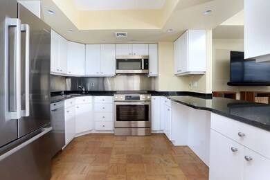 Ten Ten Memorial Drive unit 8E, Cambridge, MA 02138 - photo 6