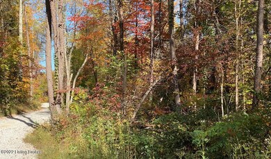 River View Fall4