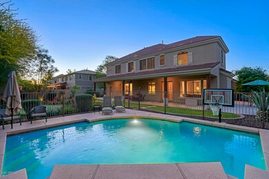 Pool and Back yard
