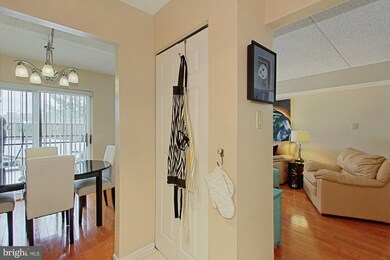 5756 Village Green Dr unit B, Alexandria, VA 22309 - photo 7