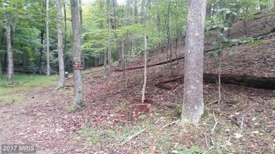 0 Comptons Rd unit 1001180161, Berkeley Springs, WV 25411 - photo 7