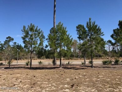 1388 Cross Water Cir, Leland, NC 28451 - photo 5