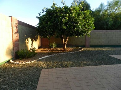 BACK YARD