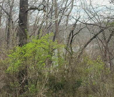 Table Rock Lake