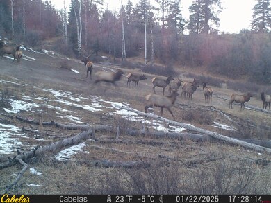 TBD Albert Place, Pagosa Springs, CO 81147 - photo 4