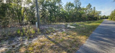 Lots 6 and 7 Hillcrest Ave, Rainbow Lakes Estates, FL 34431 - photo 2