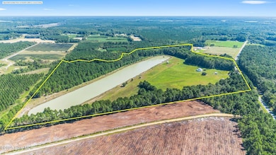 14419 Nc Highway 41 E, Harrells, NC 28444 - photo 4