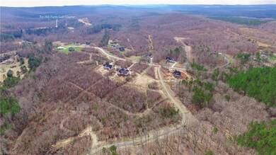 TBD Tot Hill Farm Rd, Asheboro, NC 27205 - photo 7