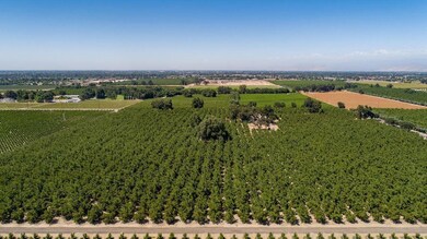 20220701173010401716000000-o