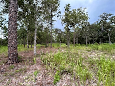 16051 SW 44 St, Ocala, FL 34481 - photo 6