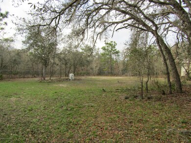 Back yard