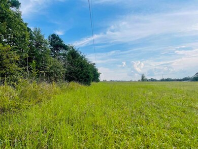 0 Shady Grove Rd unit 25037910, Leslie, AR 72645 - photo 7