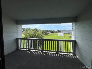 810 E Gilchrist Ct, Hernando, FL 34442 - photo 4