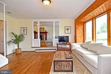 6700 Cavalier Dr, Alexandria, VA 22307 - photo 3