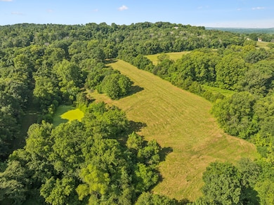 0 Newt Hood Rd, Columbia, TN 38401 - photo 2