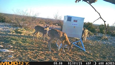 TR Ranch NE Tract 2, Langtry, TX 78871 - photo 2