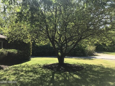 599 Broadway St, Hughesville, PA 17737 - photo 4