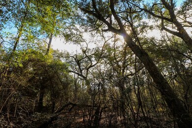 2200 Wyndham Way, Bainbridge, GA 39819 - photo 4