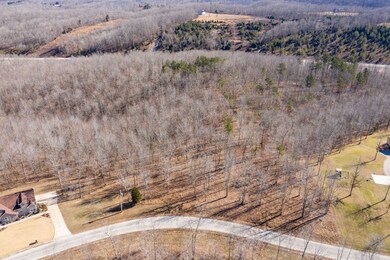 210 Saddlebrook Dr, Hohenwald, TN 38462 - photo 5