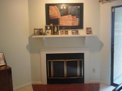 Wood burning fireplace