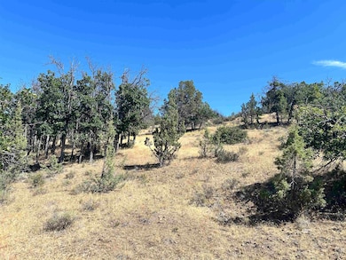 Unit 5 Lot #103 Greenfinch Way unit 5, Hornbrook, CA 96064 - photo 5