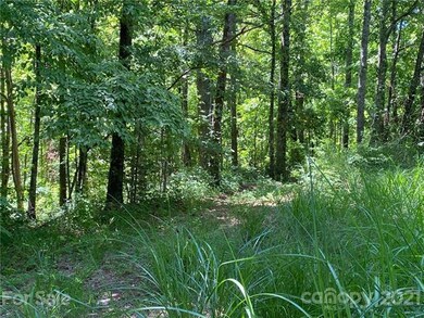 00 F H Justus Rd, Hendersonville, NC 28792 - photo 4