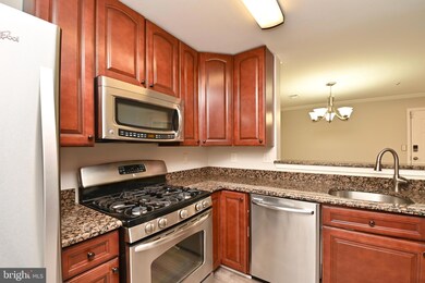 1061 Gardenview Loop unit 303, Woodbridge, VA 22191 - photo 7