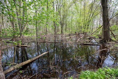TBD 250 Rd S, Culver, IN 46511 - photo 2
