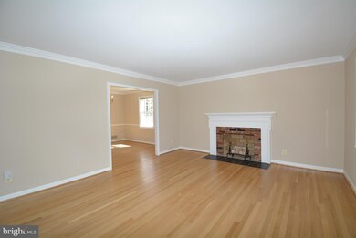8419 Crown Place, Alexandria, VA 22308 - photo 4