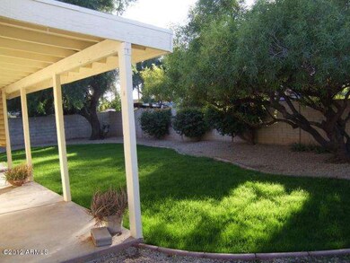 Back patio