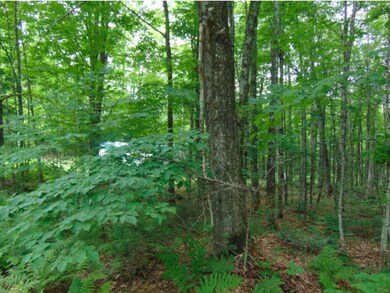 - Sullivan Dr, Stewartstown, NH 03597 - photo 6