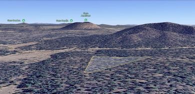 Tbd Cerro Leonides Rd, Ramah, NM 87321 - photo 3