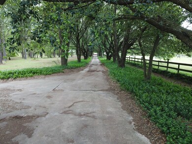 186 Hurt Dr, Cordele, GA 31015 - photo 5