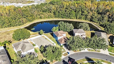 9928 Torrisdale Loop, Land O Lakes, FL 34638 - photo 5