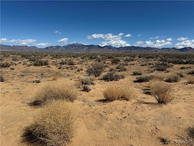 2.5 AC Bonita Dr, Dolan Springs, AZ 86441 - photo 2