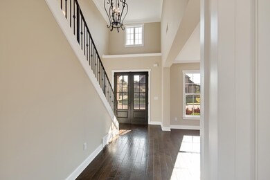 Entrance foyer with a towering ceiling, dark wood-