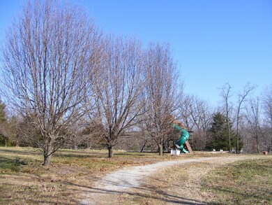 1815 State Highway T, Oldfield, MO 65720 - photo 6