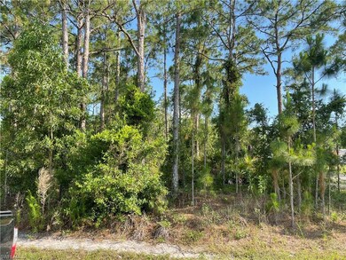 0 29th Ave Everglades Blvd unit 225082390, Naples, FL 34120 - photo 3