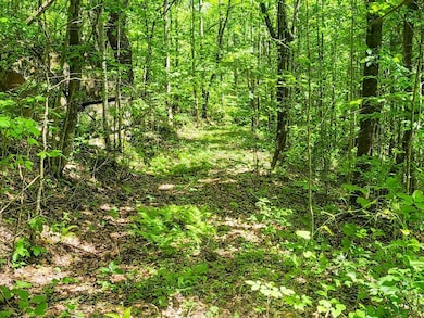 0 Buffalo Rd unit 23634322, Oneida, TN 37841 - photo 3