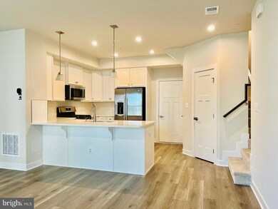 24117 Newtonmore Terrace, Sterling, VA 20166 - photo 3