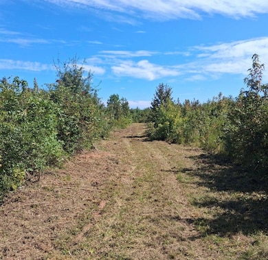 30a Bowie Rd, Troy, SC 29848 - photo 2