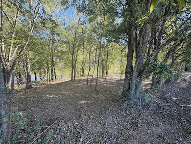 70a Highway 5 N, Mountain View, AR 72560 - photo 7