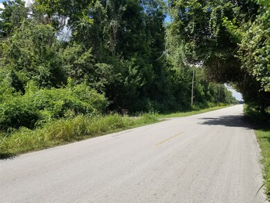 9917 Sunnywood Dr, Houston, TX 77038 - photo 4