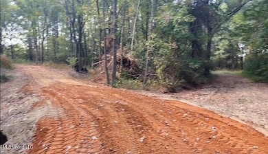 0 10 1 2 Acres Smith unit 4126758, Hernando, MS 38632 - photo 5